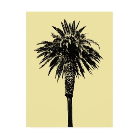 Erik Asla 'Palm Tree 1996 (Yellow)' Canvas Art,14x19